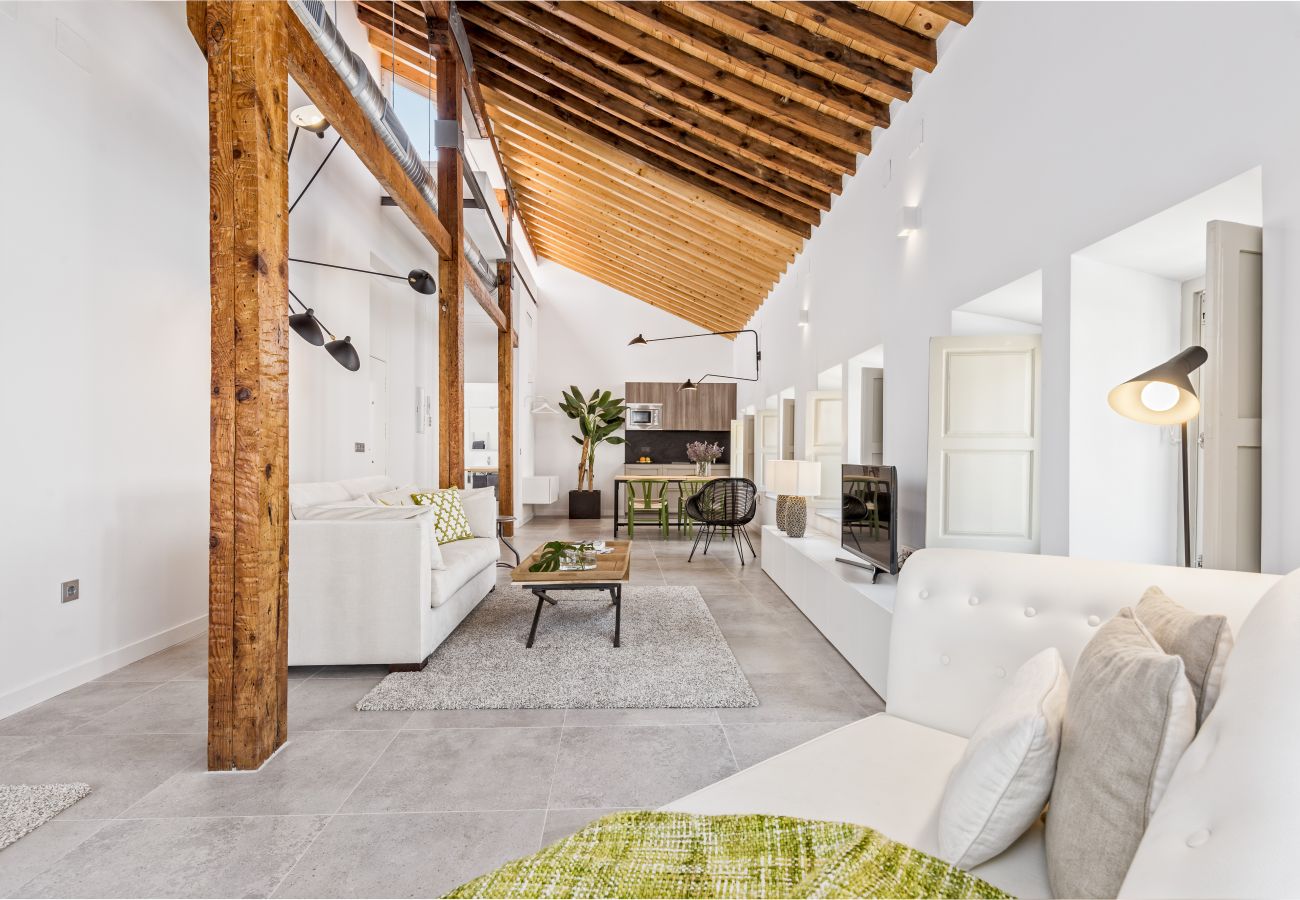 Apartment in Málaga - iloftmalaga Premium Centro Historico IV