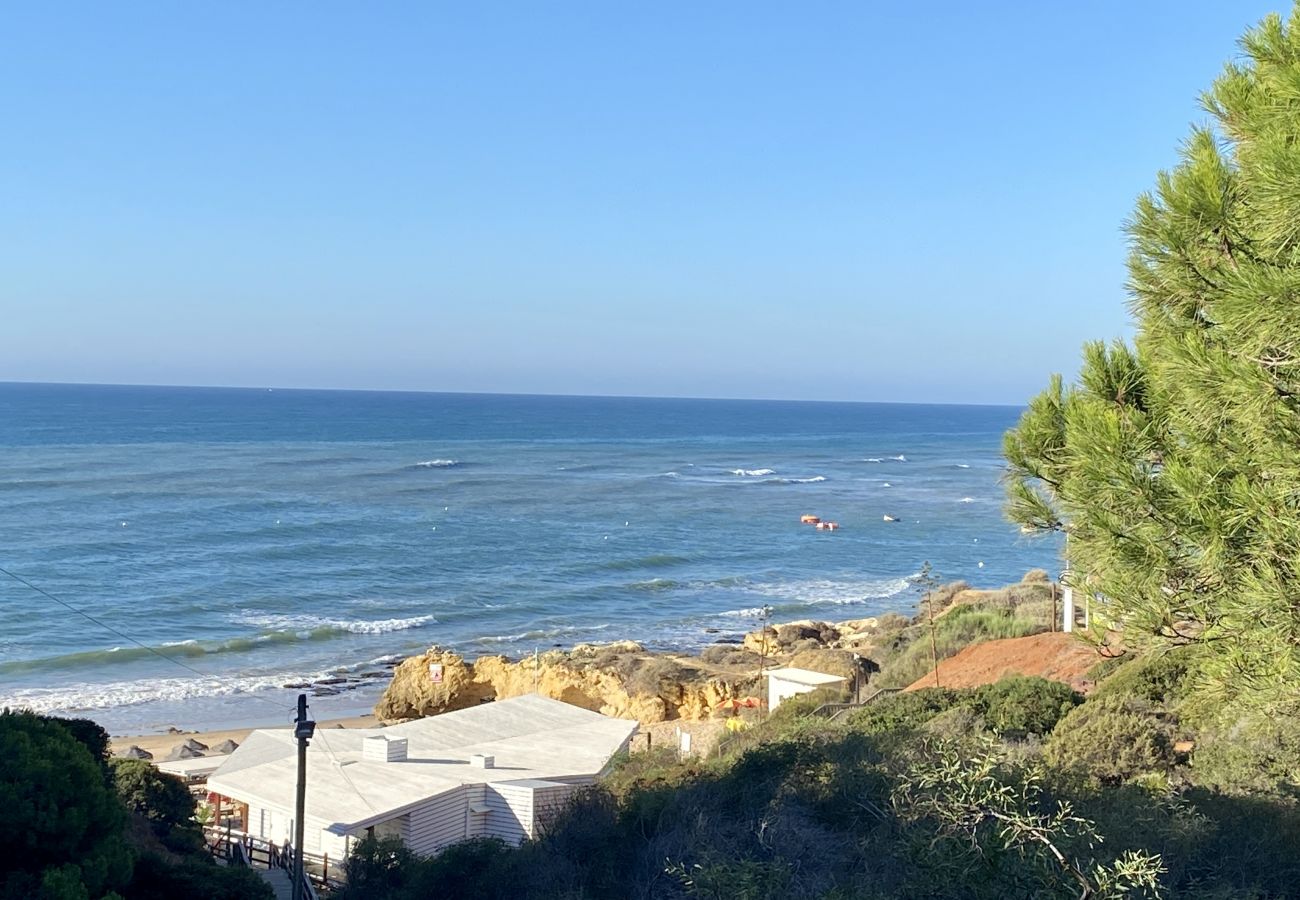 Apartment in Albufeira - Apartment for 6 people to 300 m beach