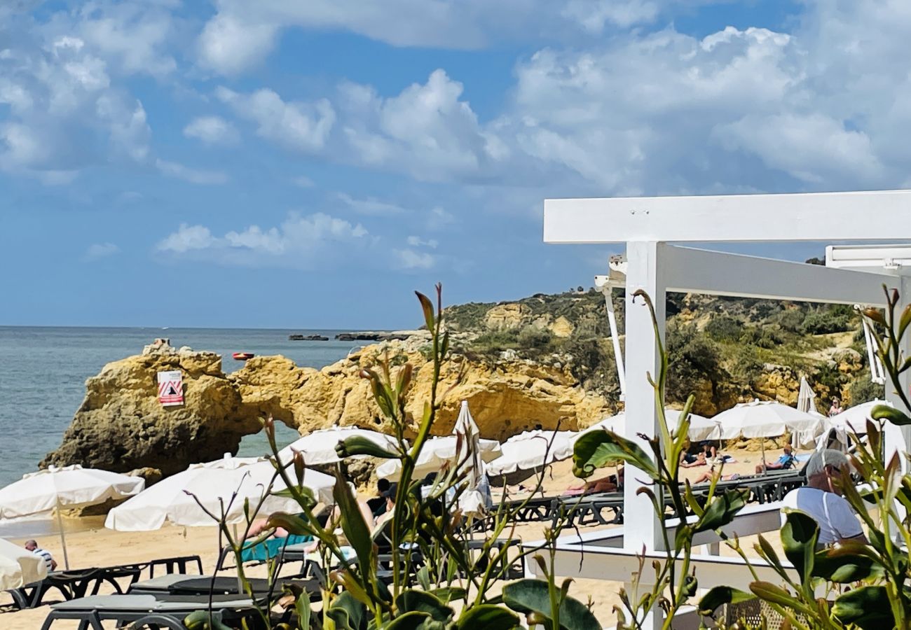 Apartment in Albufeira - Apartment for 6 people to 300 m beach