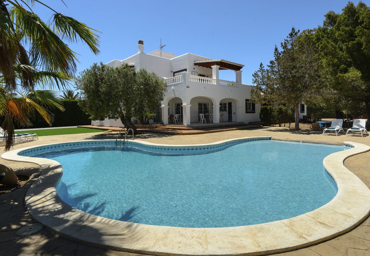 Villa in Ibiza / Eivissa - Villa for 12 people in Ibiza