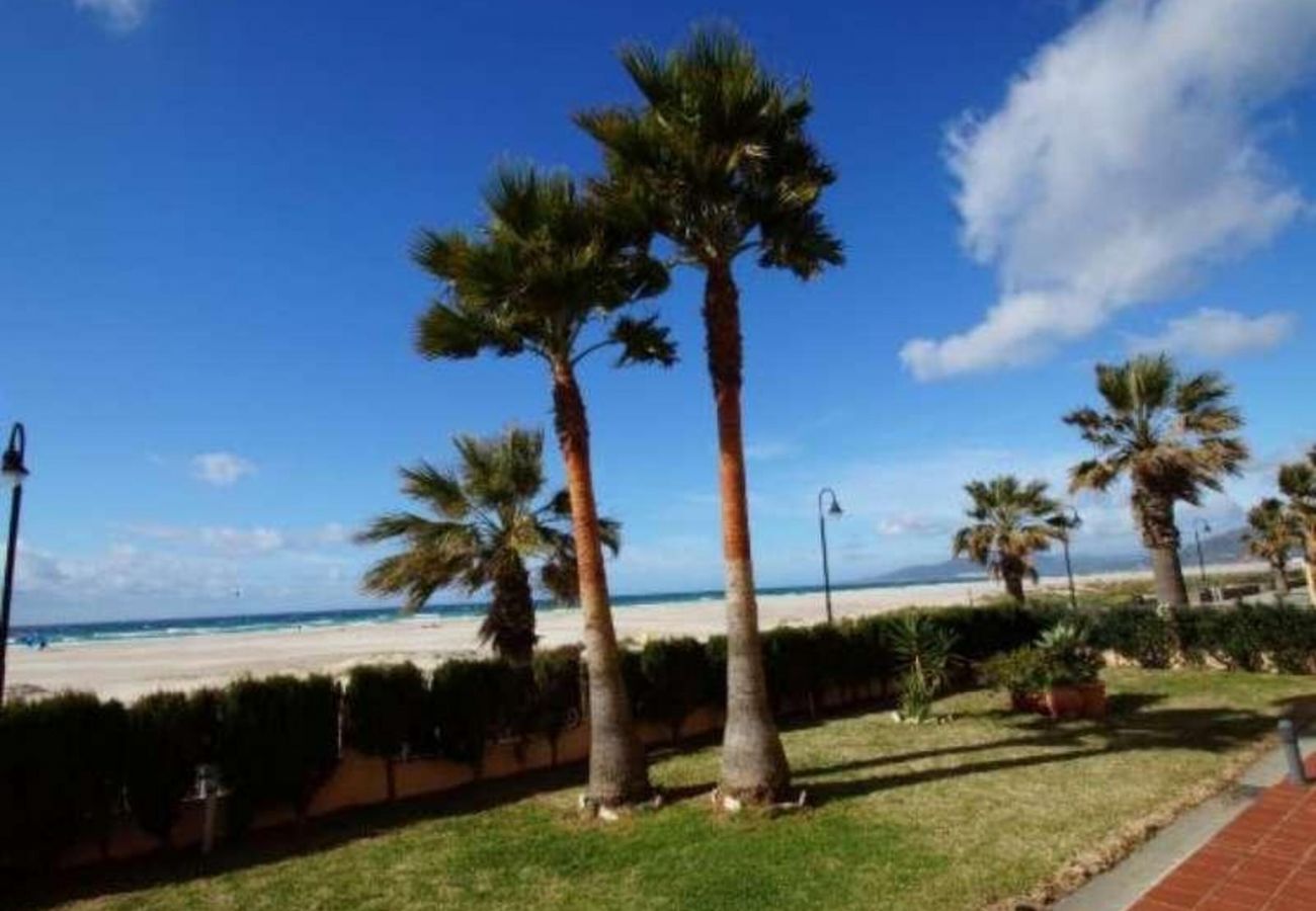 Apartment in Tarifa - Apartment with swimming pool to 20 m beach