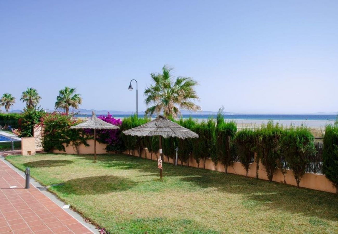 Apartment in Tarifa - Apartment with swimming pool to 20 m beach