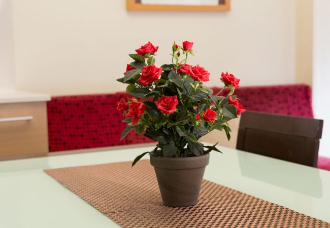 Apartment in Barcelona - MARQUES, renovated, large, modern, 4 bedrooms flat for rent by days in Barcelona center, Eixample, Sant Antoni Apartment in Barcelona - MARQUES, renovated, large, modern, 4 bedrooms flat for rent by days in Barcelona center, Eixample, Sant Antoni