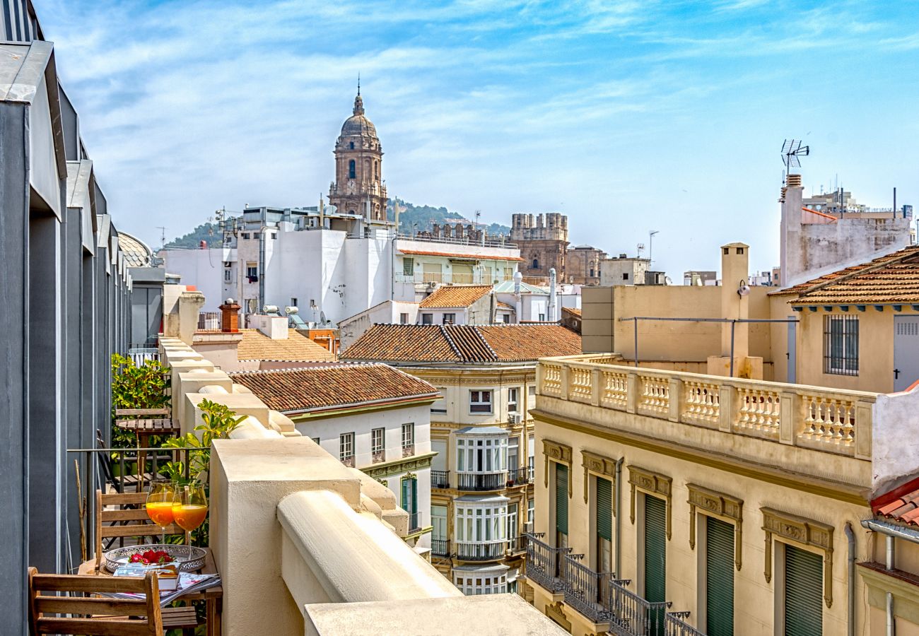 Apartment in Málaga - iloftmalaga Ático Plaza Felix Saenz