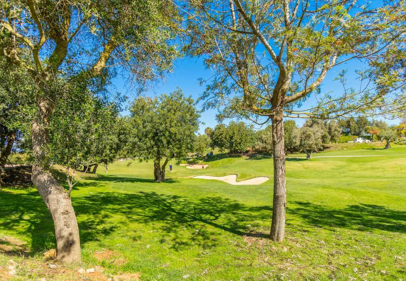 gramacho, golf course, trees, grass