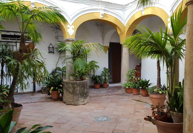 Apartment in Tarifa - 22 - Apartamento Silos Dreams Apartment in Tarifa - 22 - Apartamento Silos Dreams