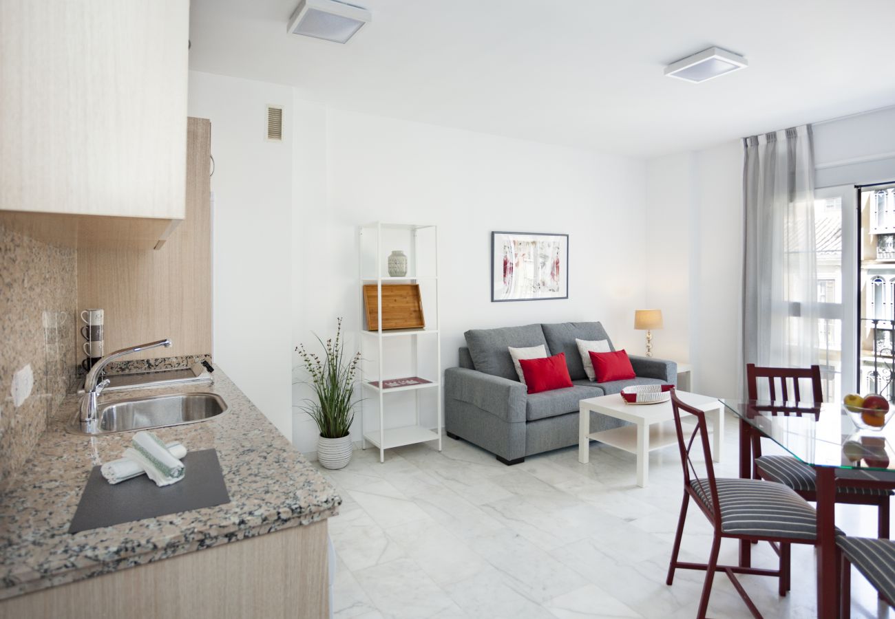 Apartment in Málaga - iloftmalaga Puerta del Mar V