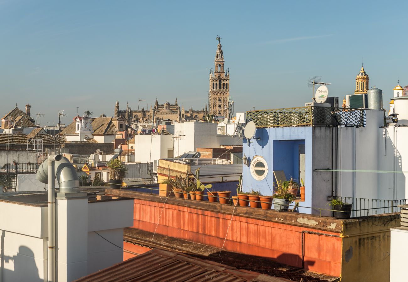 Apartment in Seville - Apartment of 2 bedrooms in Sevilla