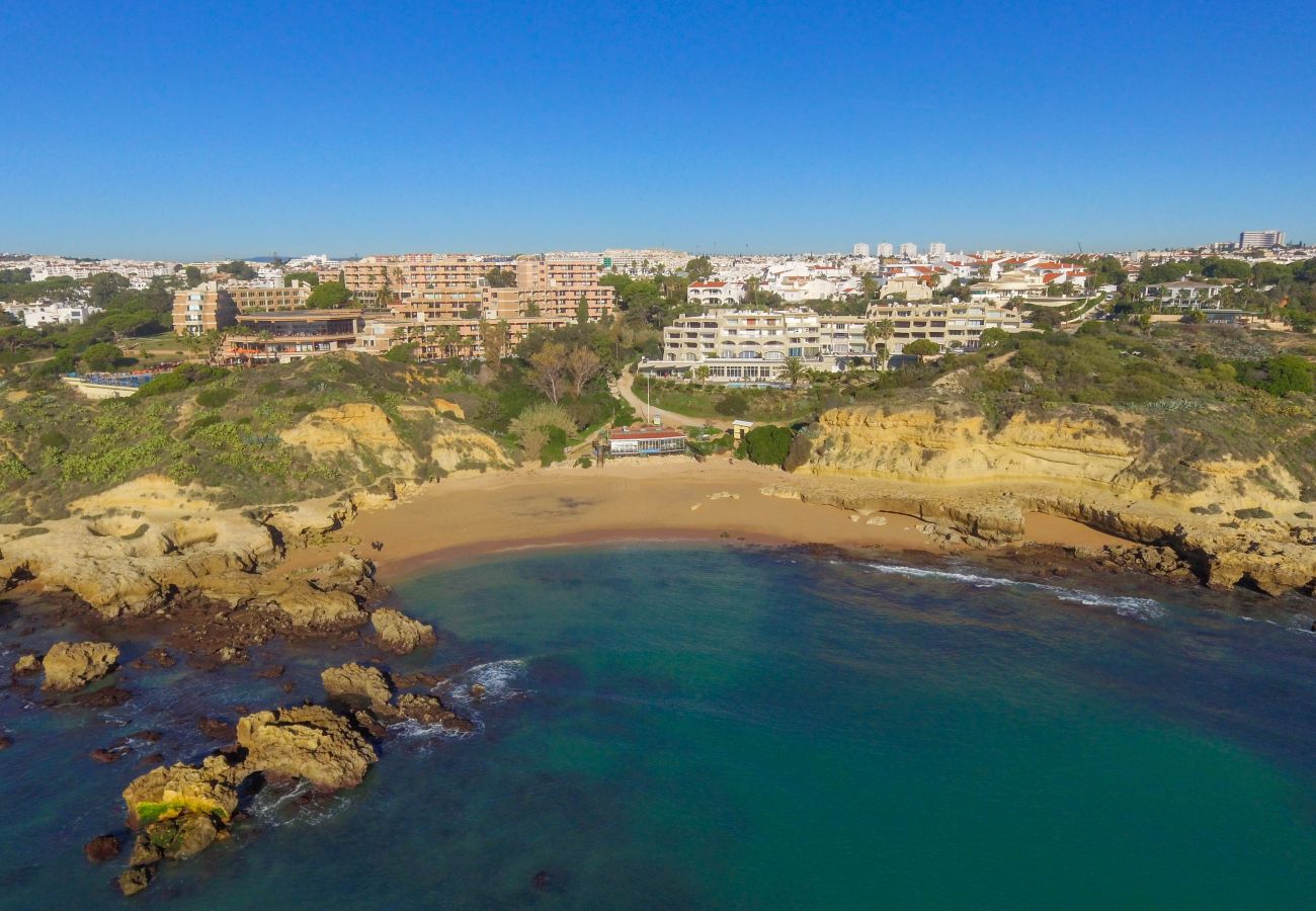 Apartment in Albufeira - Apartment with swimming pool to 50 m beach