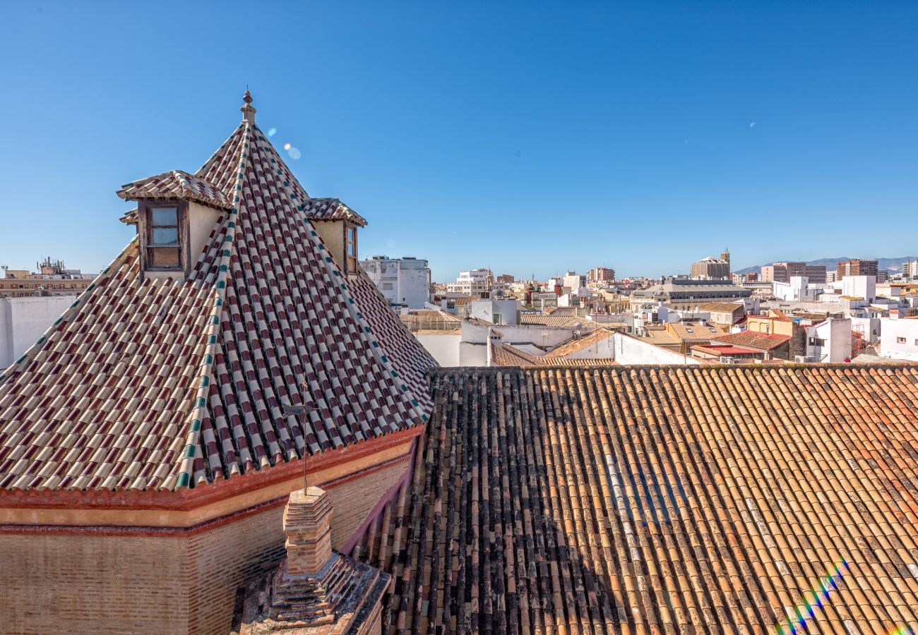 Apartment in Málaga - iloftmalaga Ático Plaza de las Flores