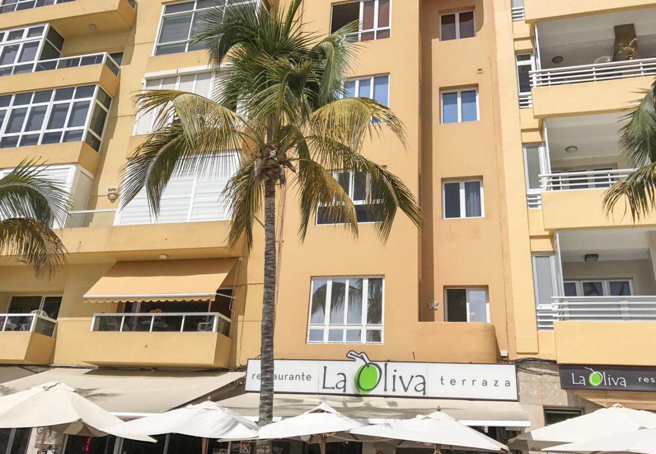 Apartment in Las Palmas de Gran Canaria - Canteras Prudencio Morales 15 2ª planta