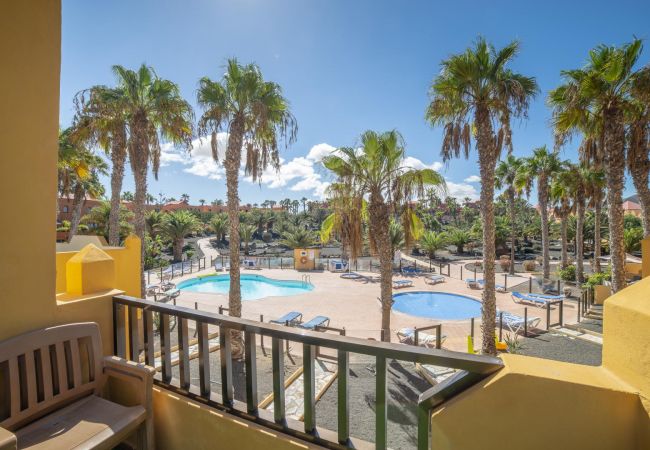 Apartment in Corralejo - Oasis Royal 14 pool view apartment Corralejo by Lightbooking