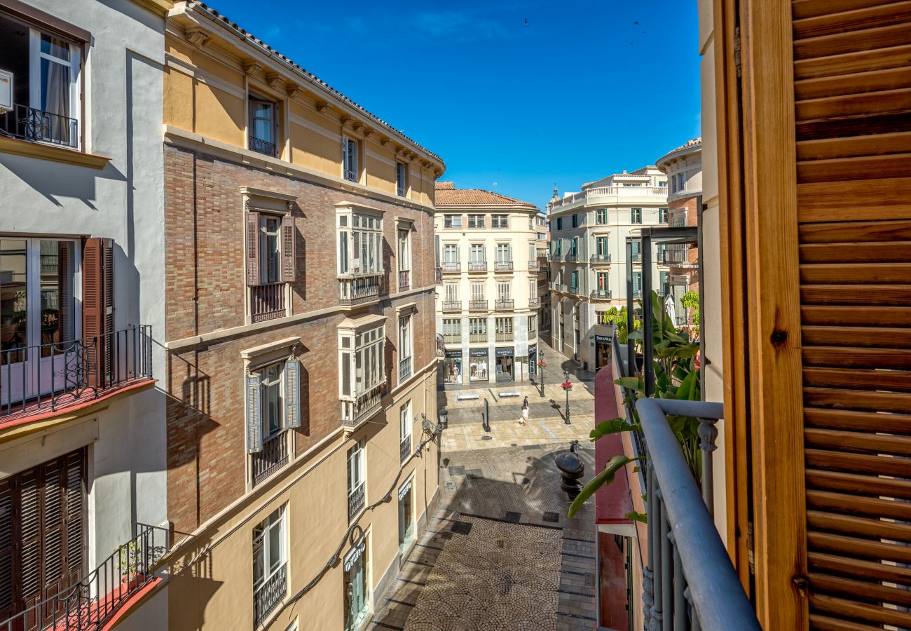 Apartment in Málaga - iloftmalaga Atico Strachan Larios