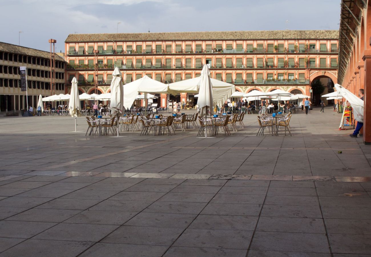 Apartment in Córdoba - Cordoba Plaza la Corredera 21 A1