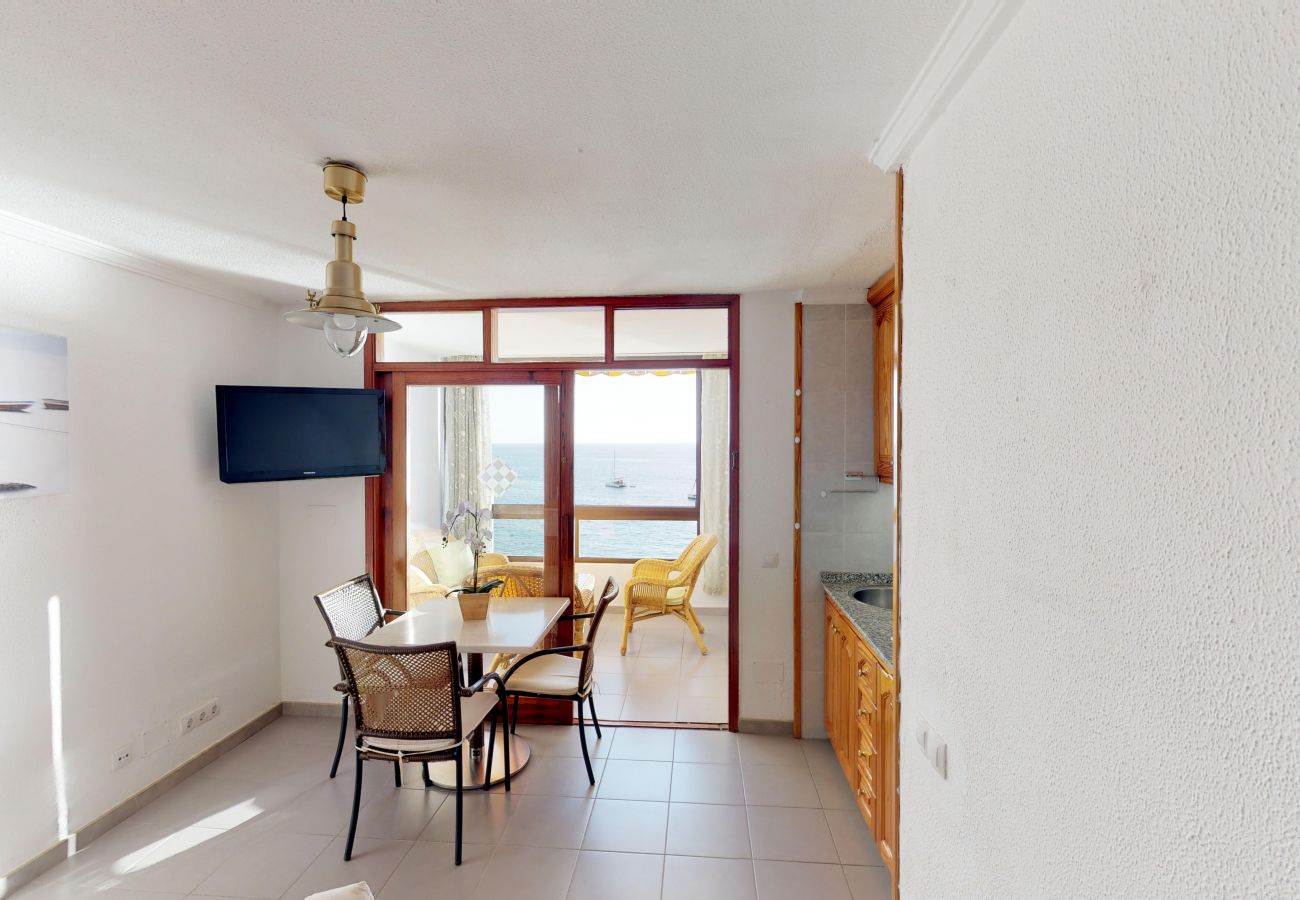 Studio in Mogán - Mogan-Patalavaca Los Canarios 27 Pta. 614
