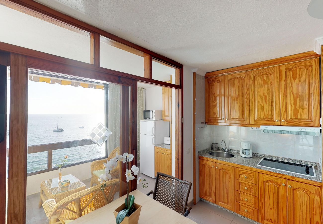 Studio in Mogán - Mogan-Patalavaca Los Canarios 27 Pta. 614
