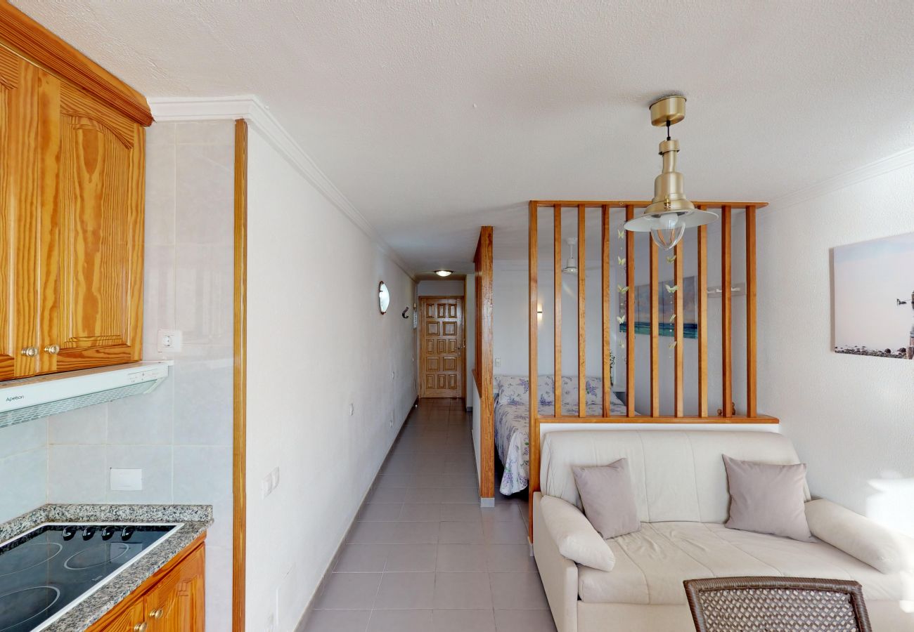Studio in Mogán - Mogan-Patalavaca Los Canarios 27 Pta. 614