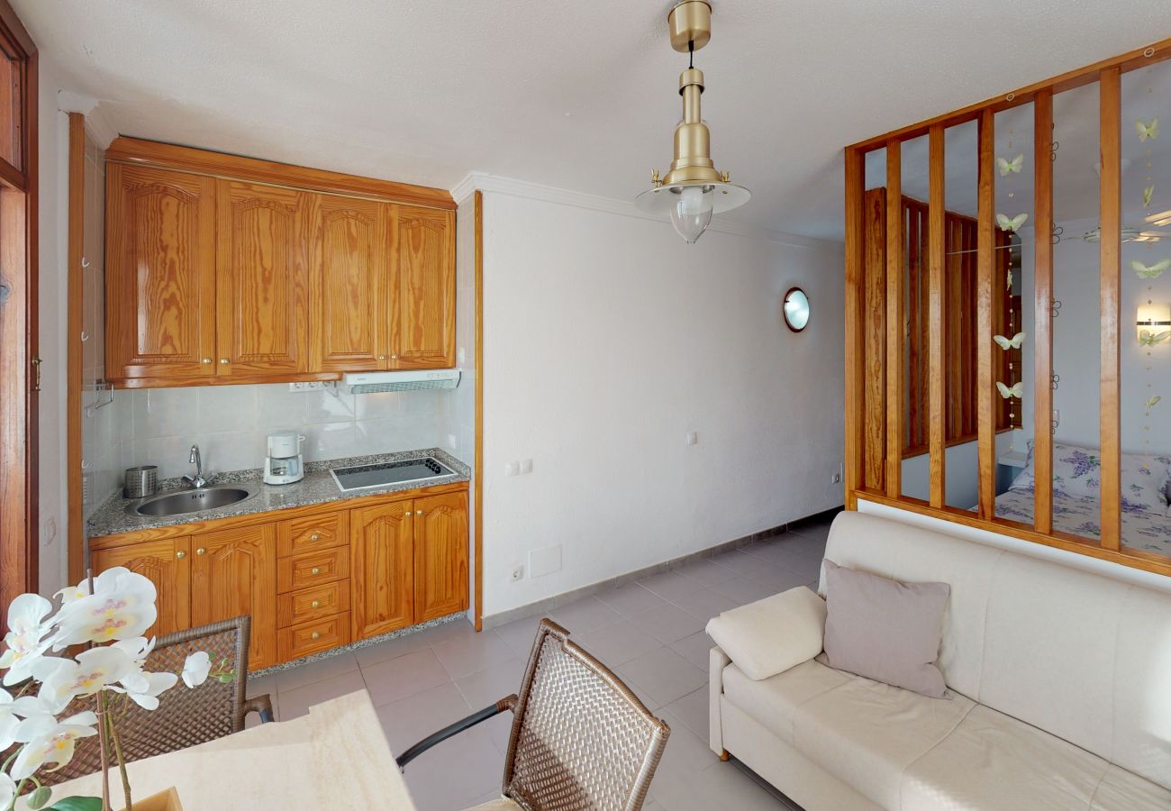 Studio in Mogán - Mogan-Patalavaca Los Canarios 27 Pta. 614