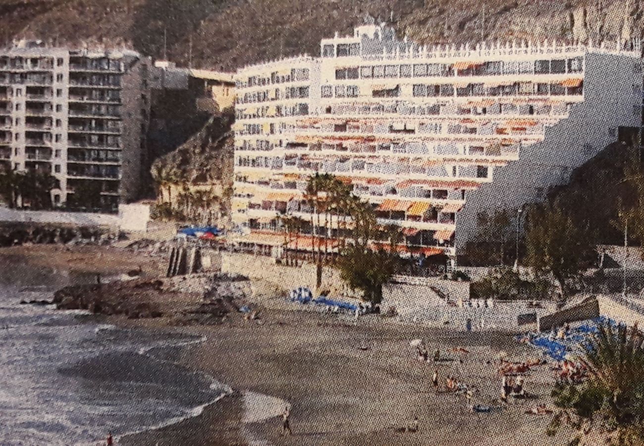 Studio in Mogán - Mogan-Patalavaca Los Canarios 27 Pta. 614