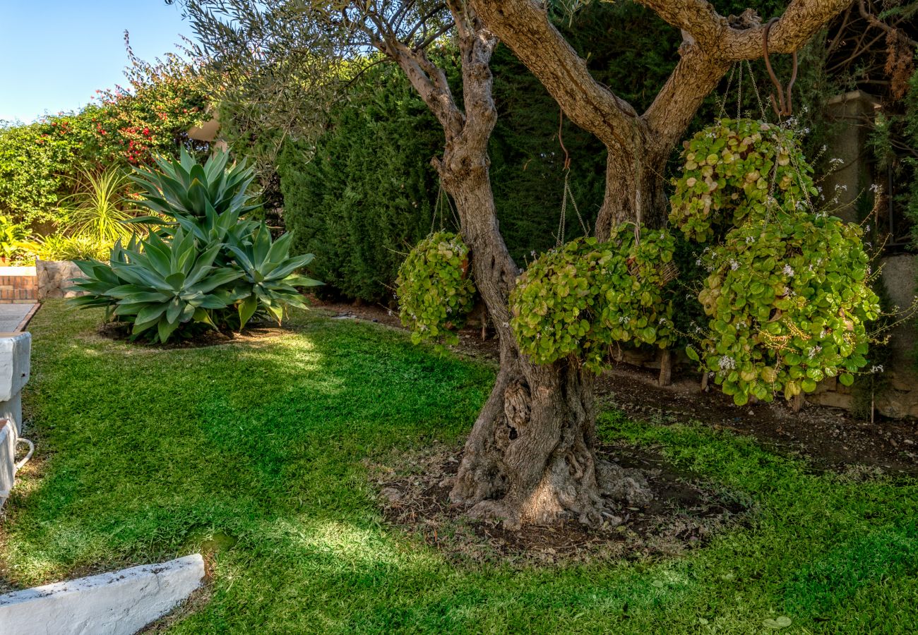Villa in Málaga - iloftmalaga Villa Miraflores