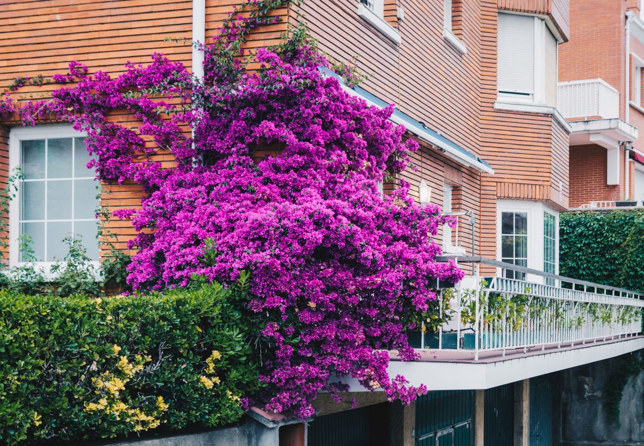 Apartment in Bilbao - NEGURI GELTOKIA