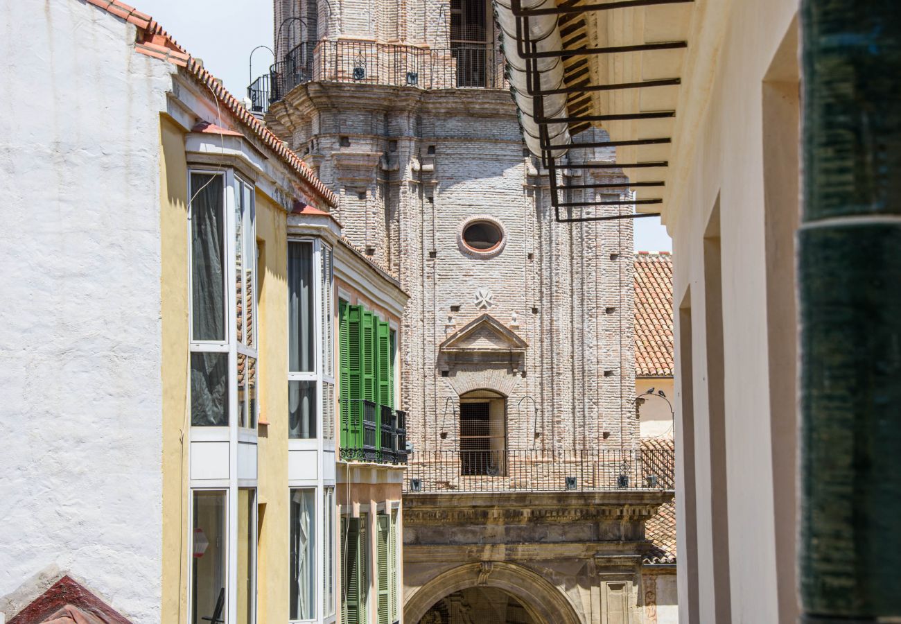 Apartment in Málaga - iloftmalaga San Juan II - 1B