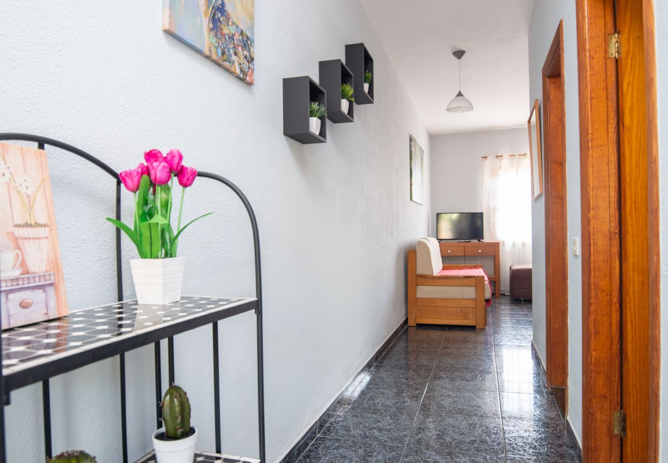 Apartment in Villa de Mazo - Apartamento Luymar D