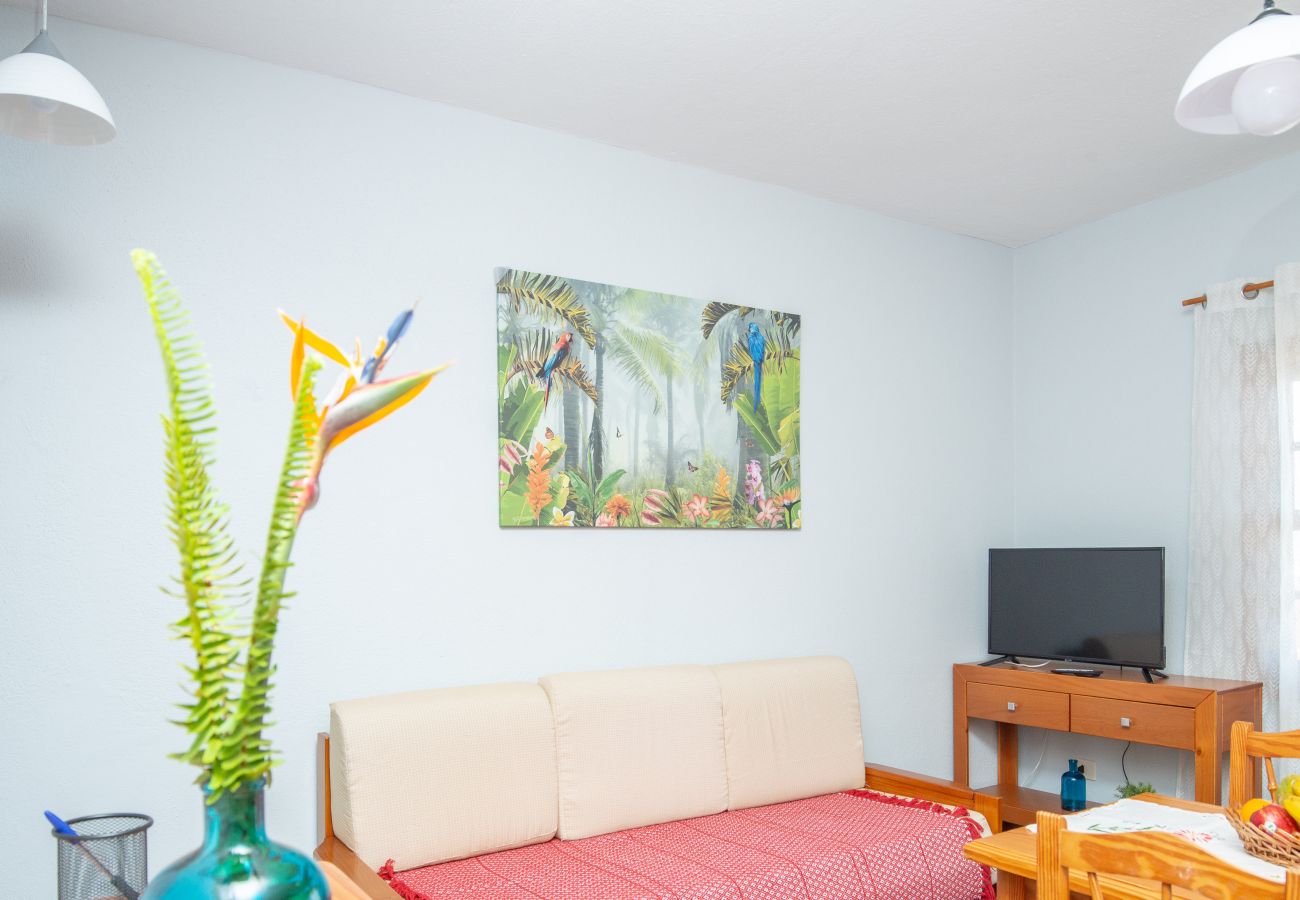 Apartment in Villa de Mazo - Apartamento Luymar D
