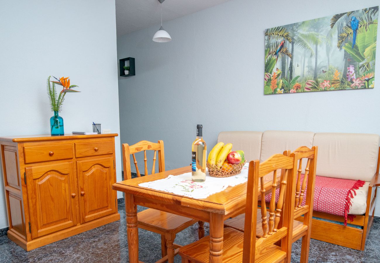 Apartment in Villa de Mazo - Apartamento Luymar D