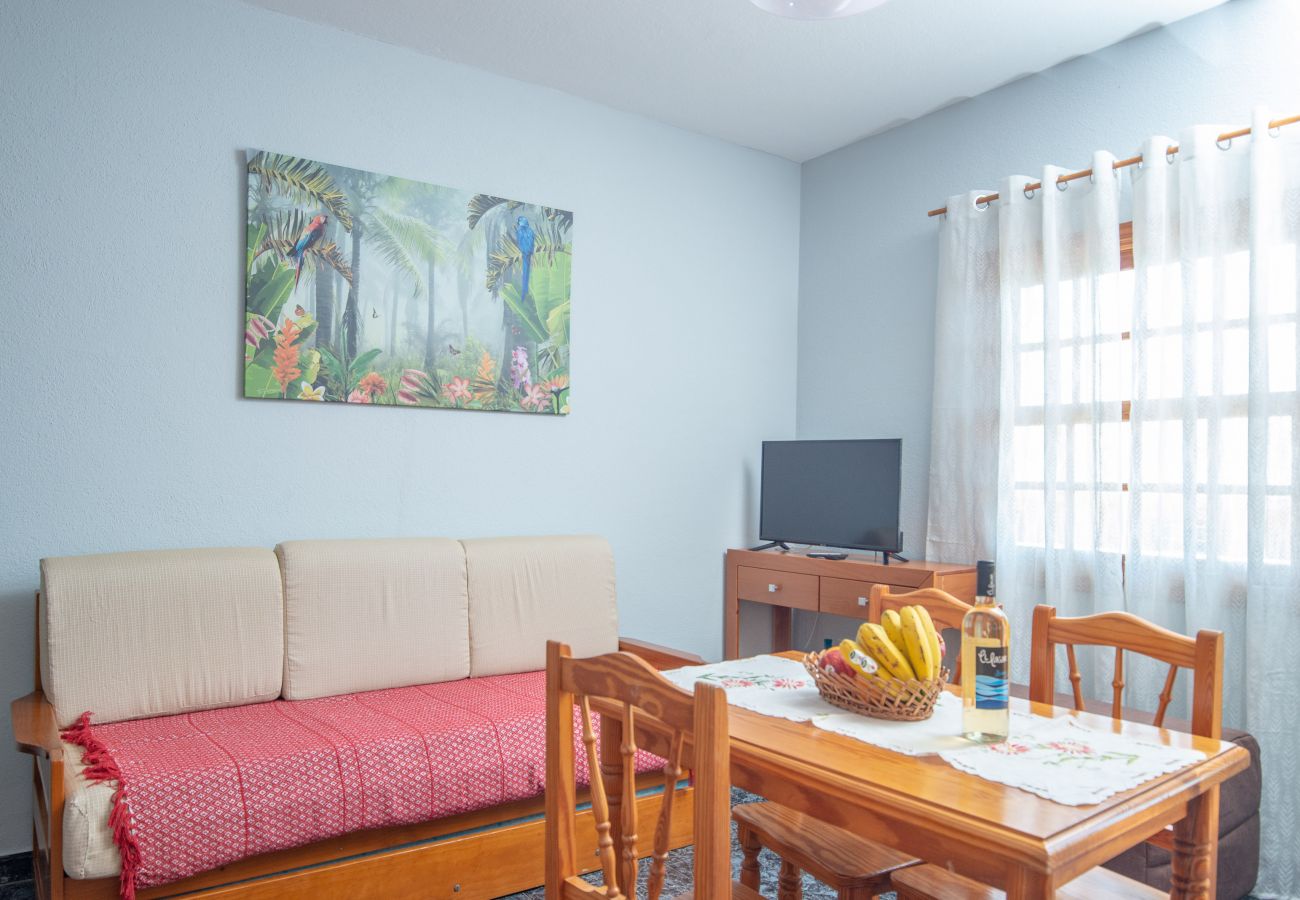 Apartment in Villa de Mazo - Apartamento Luymar D