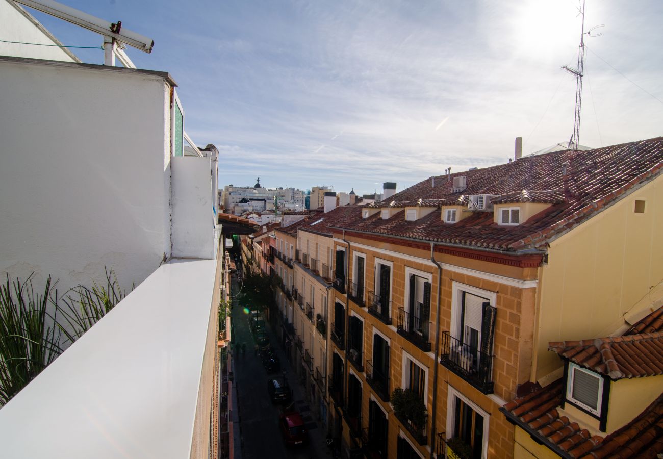 Apartment in Madrid - PENTHOUSE- CHUECA- 4 PAX