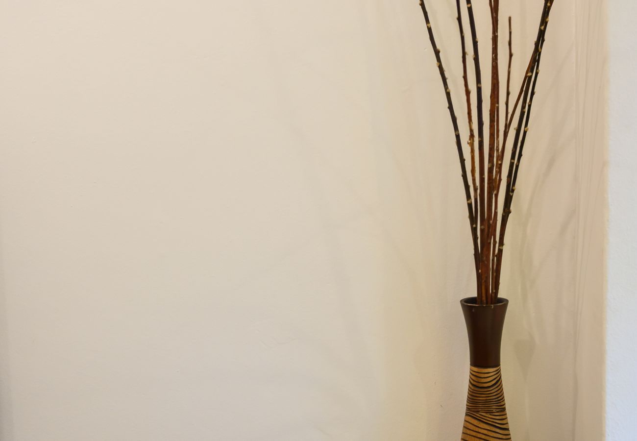 Studio in Rio de Janeiro - PF118 (Zona3)