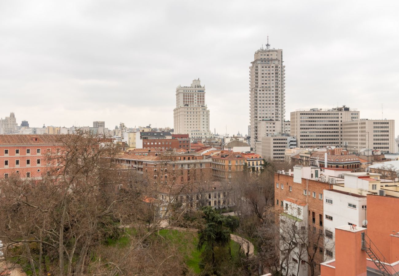 Apartment in Madrid - Duque de Liria