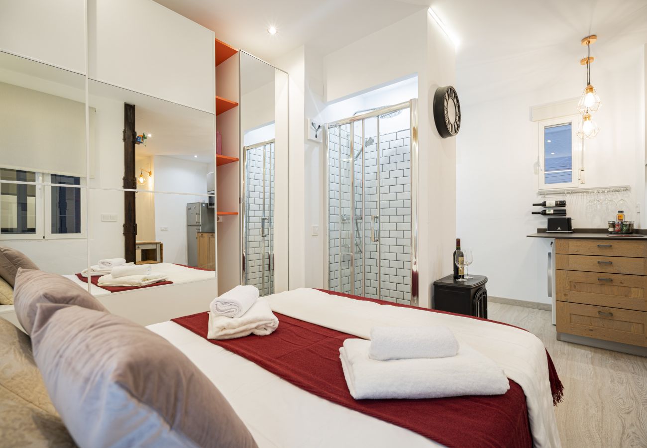 Apartment in Madrid - COZY APARTMENT IN THE NEIGHBORHOOD OF SALAMANCA