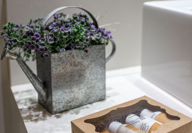 Apartment in Rio de Janeiro - RE406 (Zona1) Apartment in Rio de Janeiro - RE406 (Zona1)