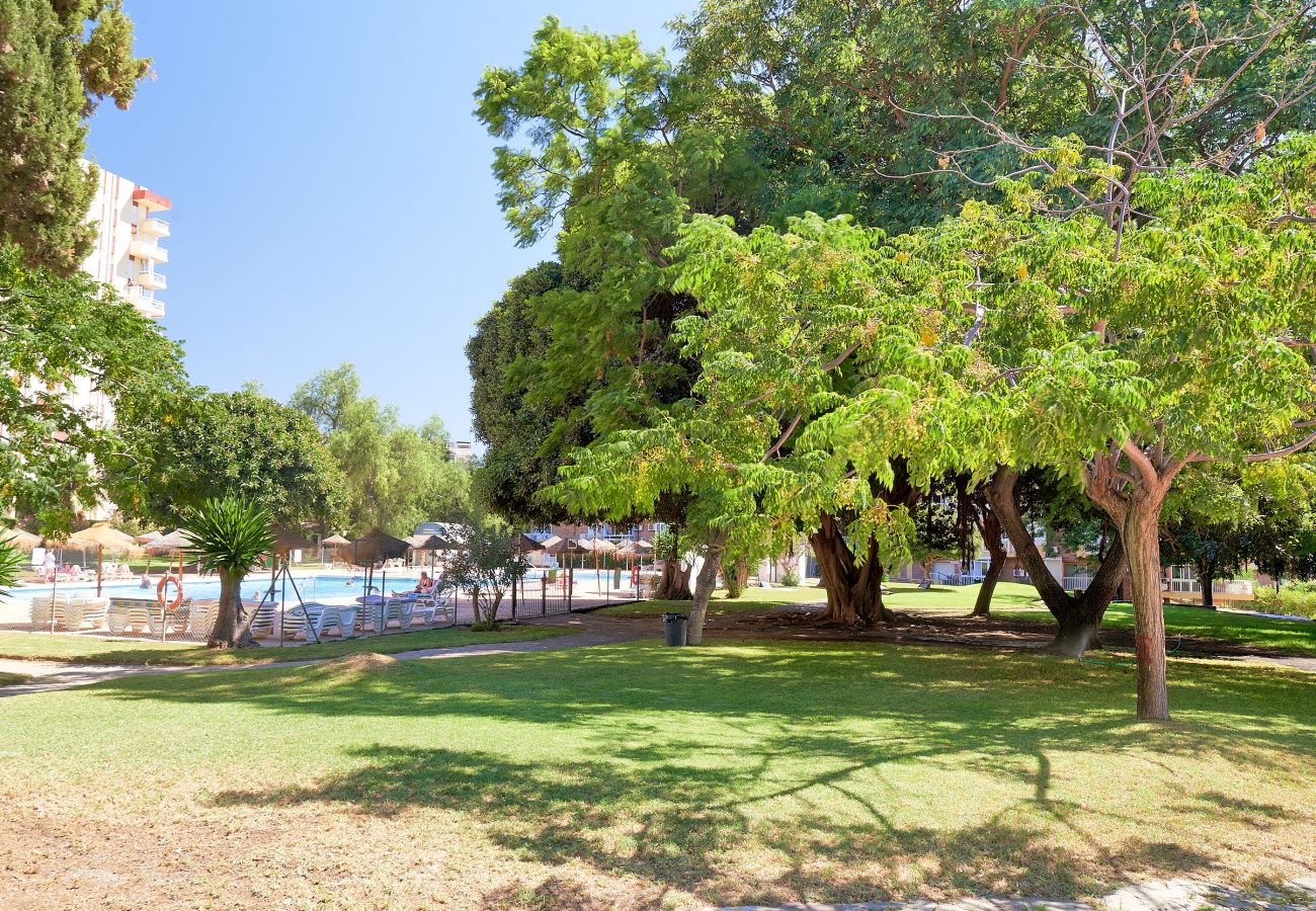 Studio in Benalmádena - Apartamento Iris - Benalmádena