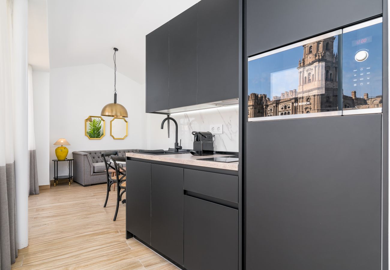 Apartment in Málaga - iloftmalaga Santa Maria VI - Atico