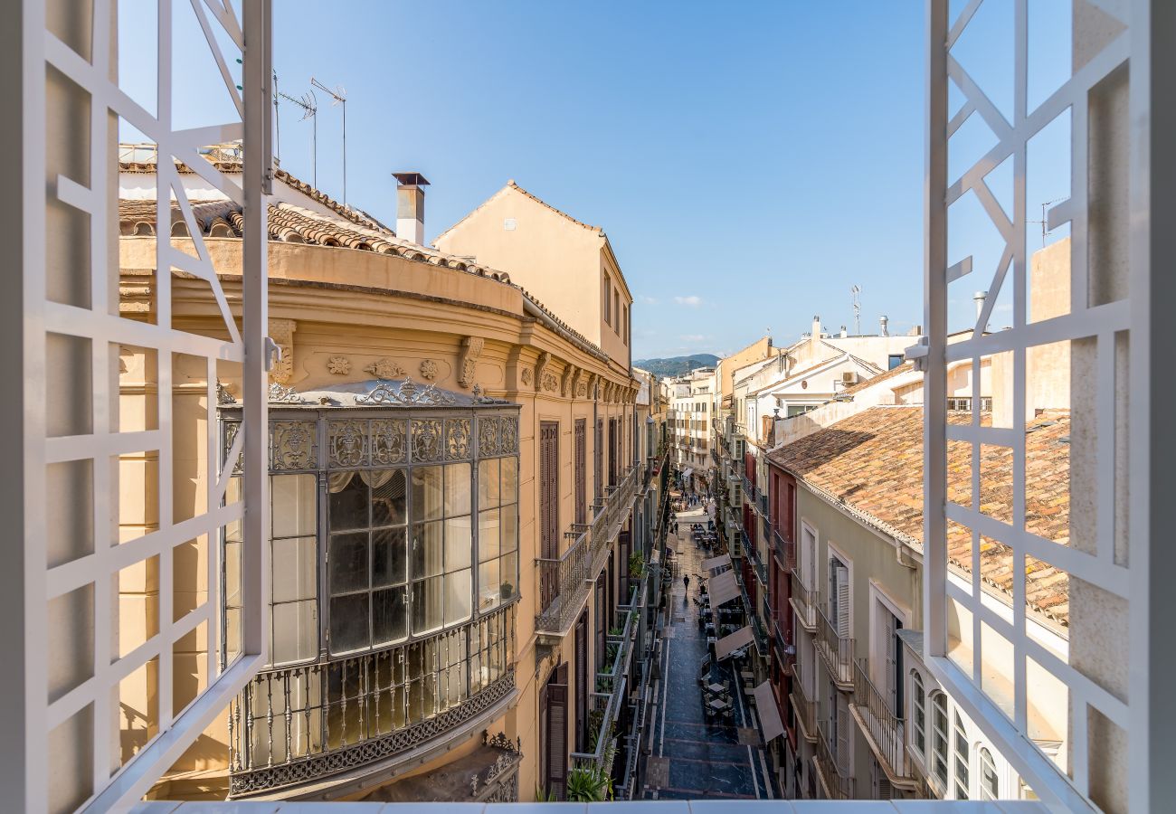 Apartment in Málaga - iloftmalaga Santa Maria VI - Atico