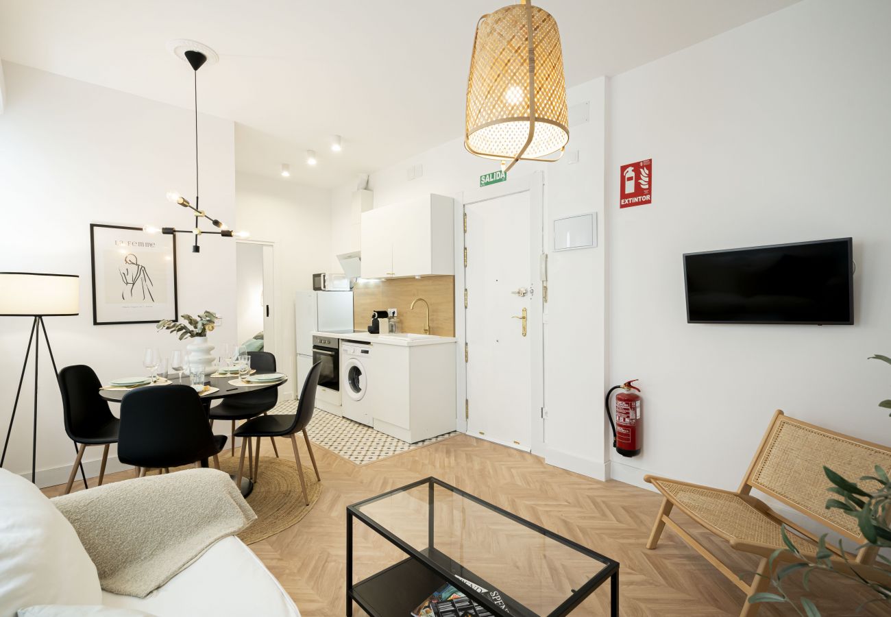 Apartment in Madrid - Apartamento Delicias Madrid Atocha M (CCR9)