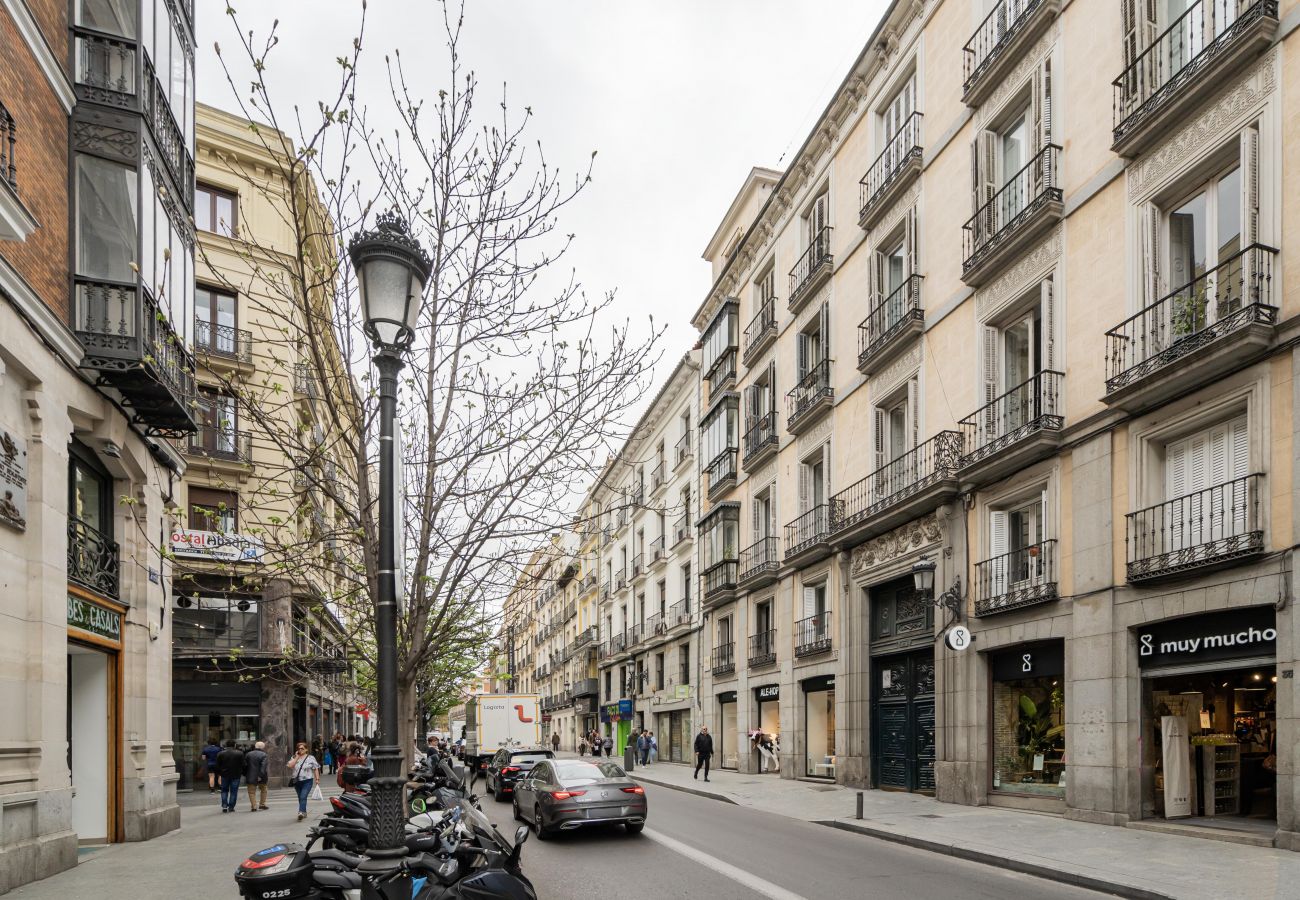 Apartment in Madrid - Luxury apartment Madrid center ATO35