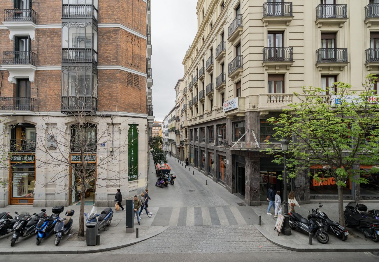 Apartment in Madrid - Luxury apartment Madrid center ATO35