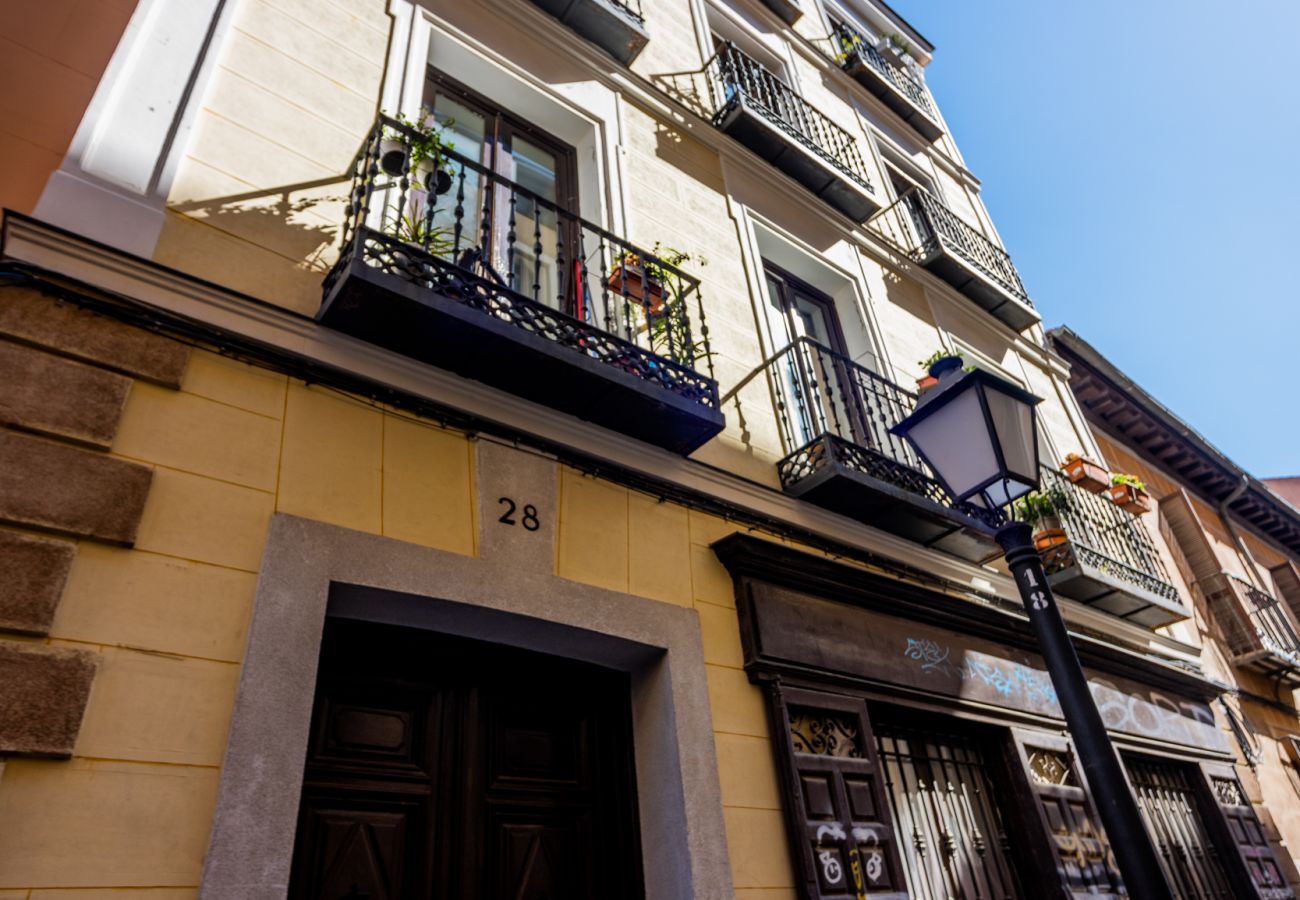 Apartment in Madrid - Ap. Hortaleza-Fuencarral MAD28