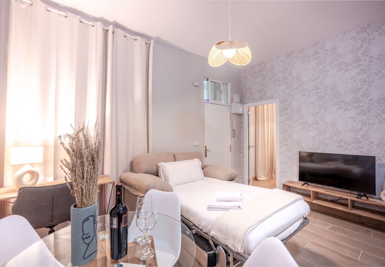 Apartment in Madrid - Ap. Embajadores-Lavapiés 