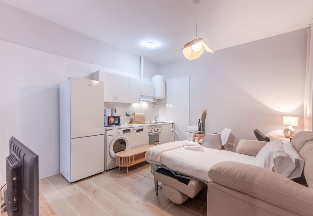 Apartment in Madrid - Ap. Embajadores-Lavapiés 