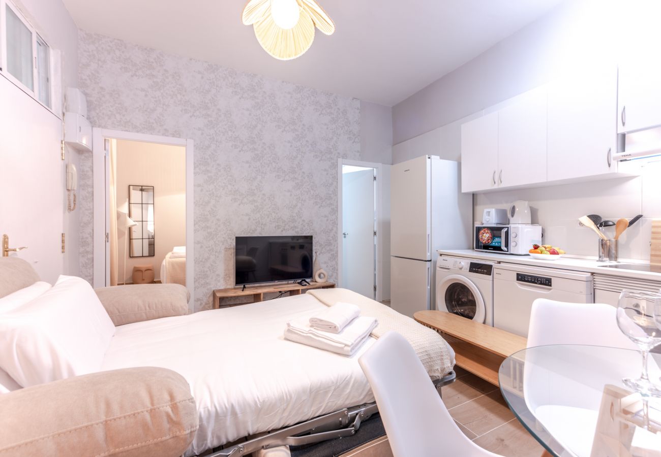 Apartment in Madrid - Ap. Embajadores-Lavapiés 
