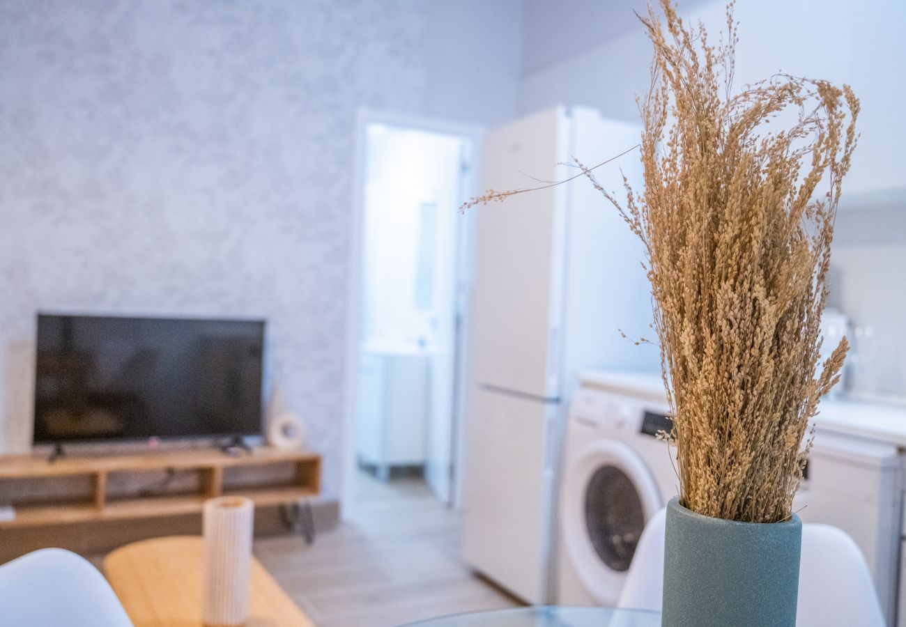 Apartment in Madrid - Ap. Embajadores-Lavapiés 