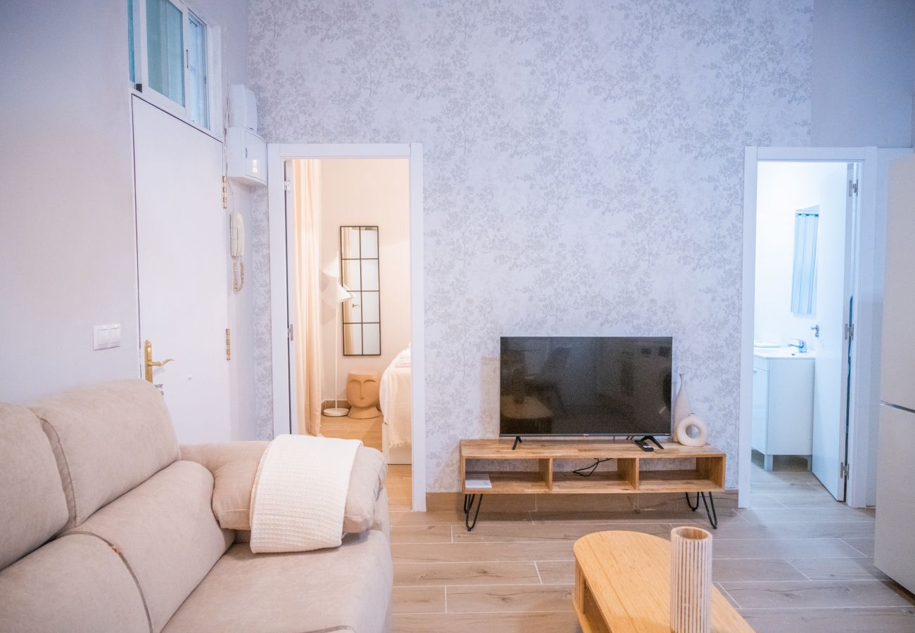 Apartment in Madrid - Ap. Embajadores-Lavapiés 