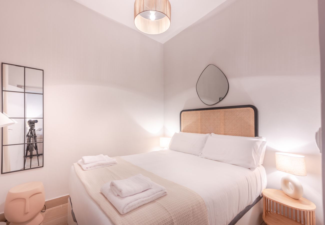Apartment in Madrid - Ap. Embajadores-Lavapiés 