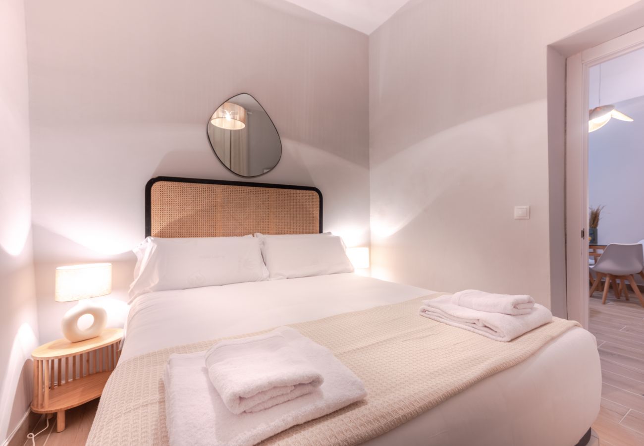 Apartment in Madrid - Ap. Embajadores-Lavapiés 