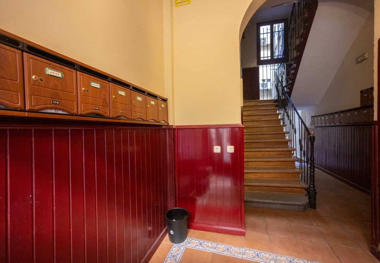 Apartment in Madrid - Ap. Embajadores-Lavapiés AMP98